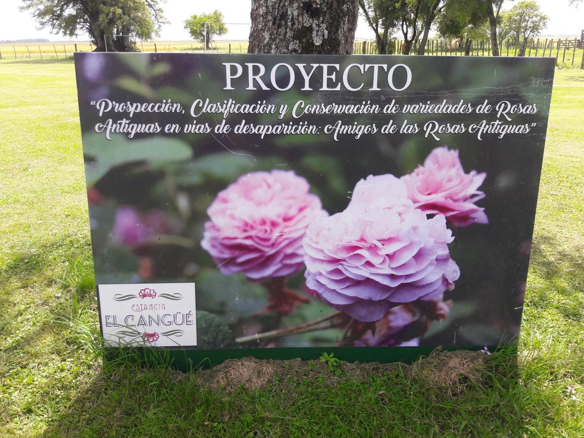 Estancia El Cangue Porvenir Exterior photo